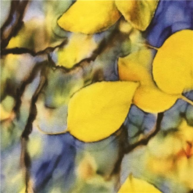 Soft Silk Cloth Soft Silk Cloth